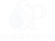 Prime Source logosu